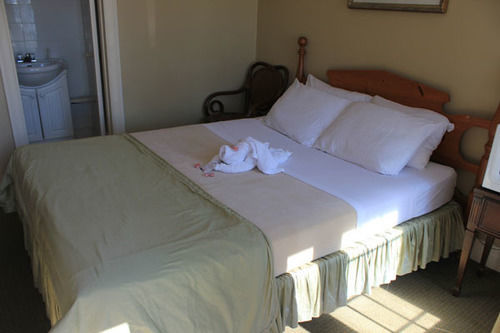 E-lodge Near The Falls 2* Niagara Falls